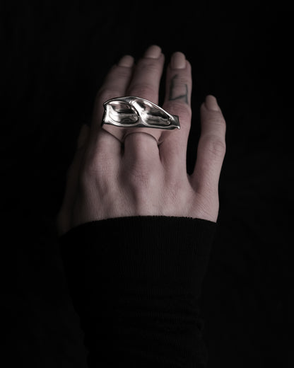 Fulmarus Ring