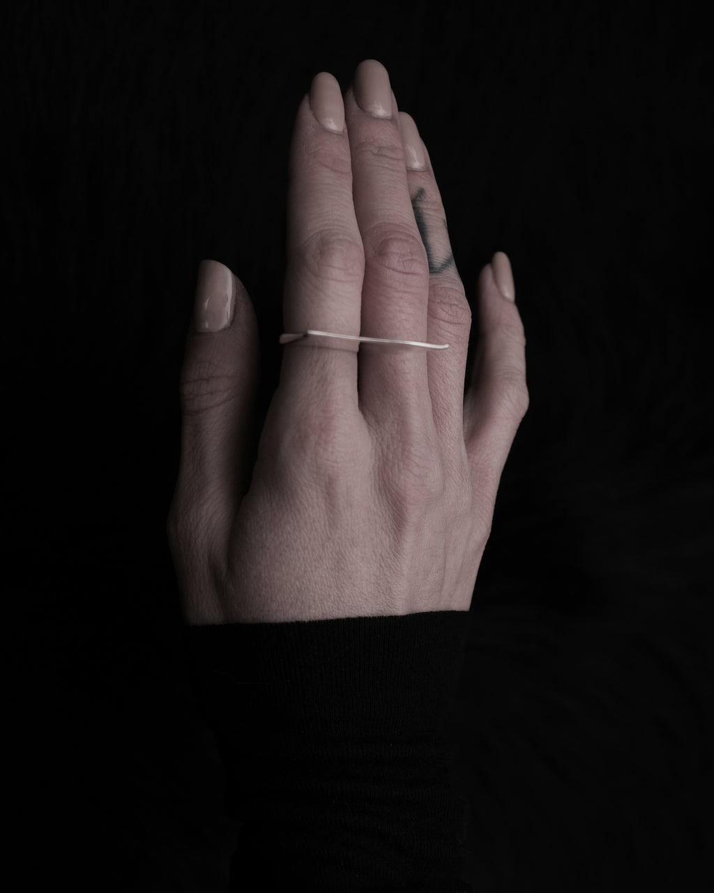 Pygoscelis Ring