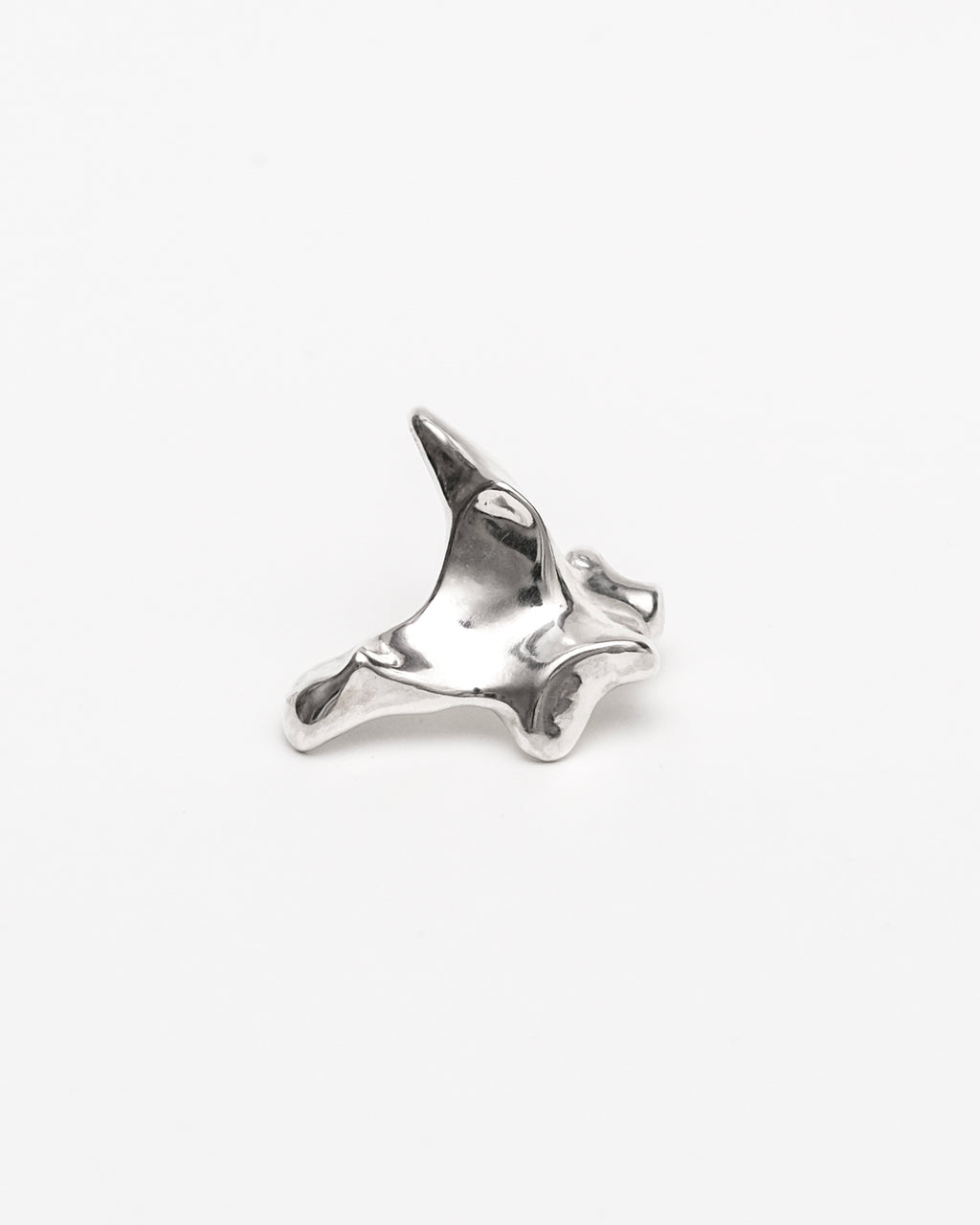 Oxyura Earrings