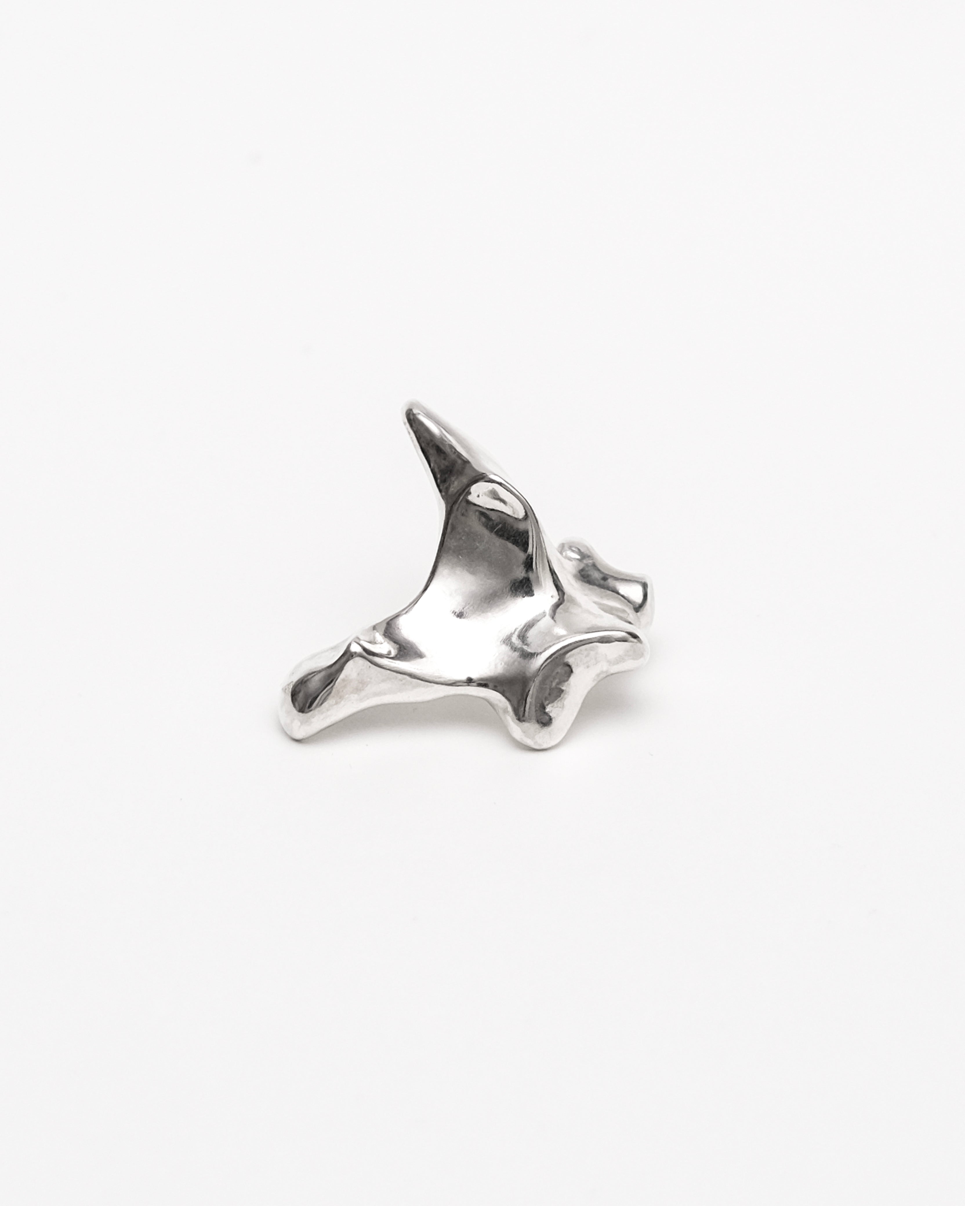 Oxyura Earrings