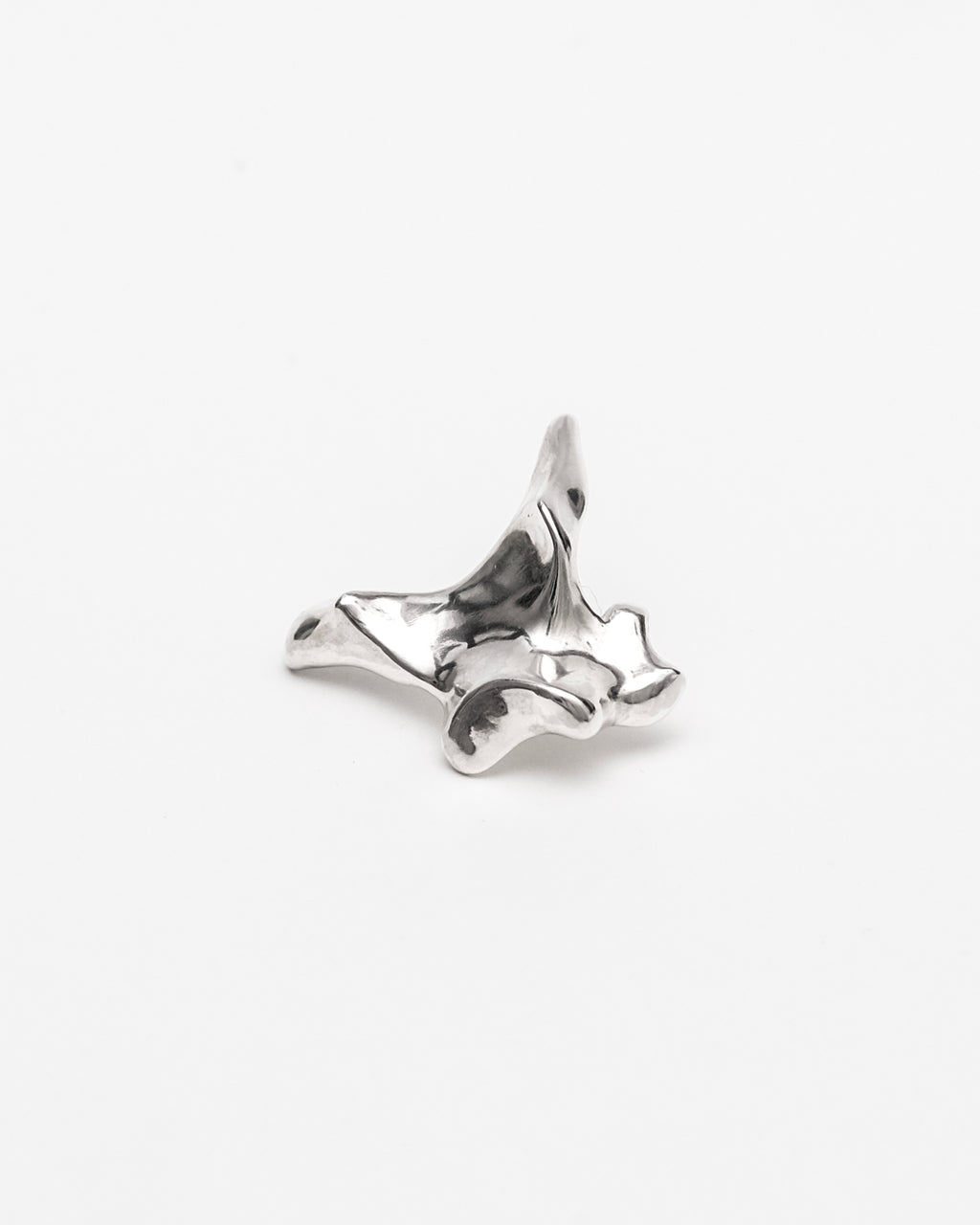 Oxyura Earrings