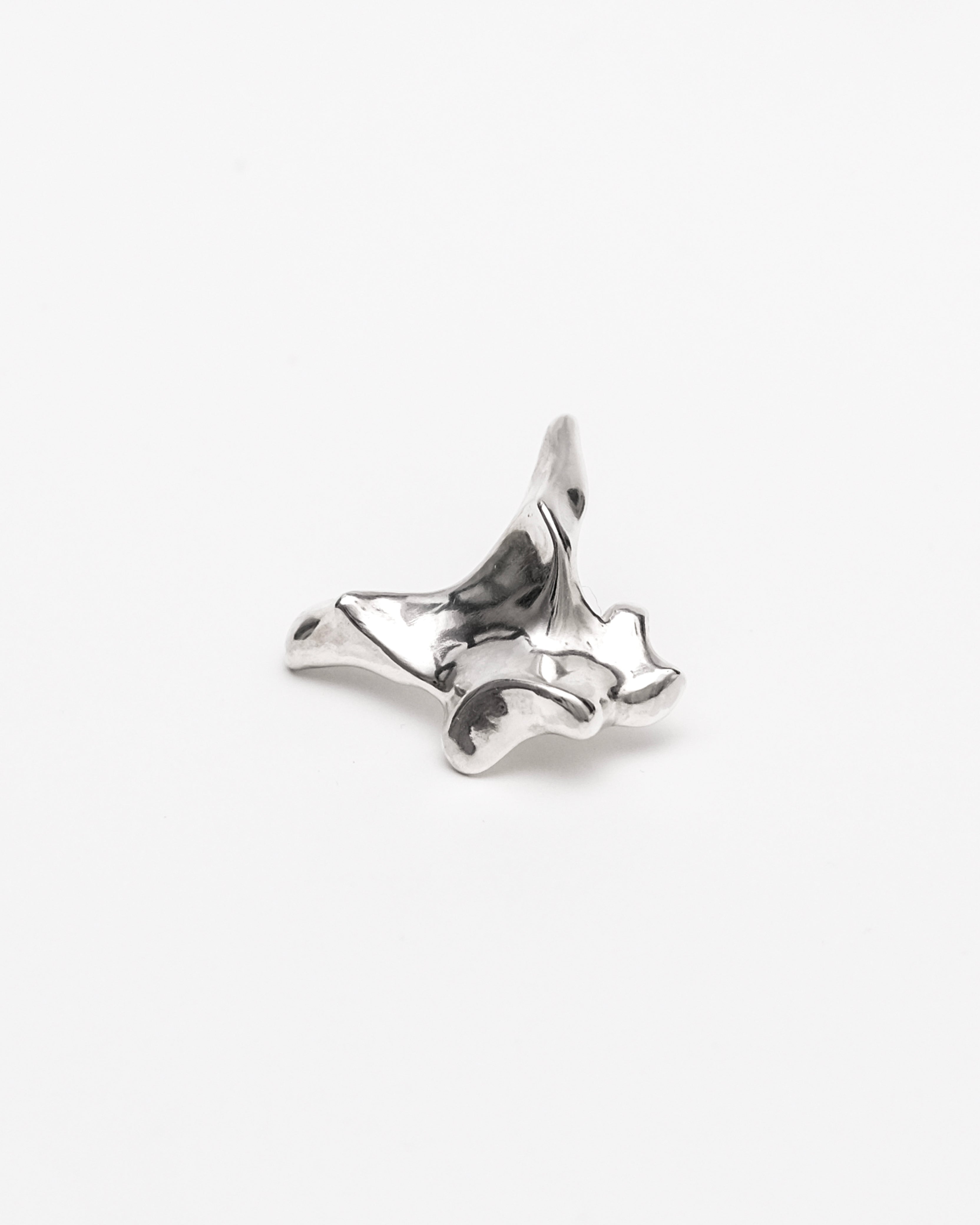 Oxyura Earrings