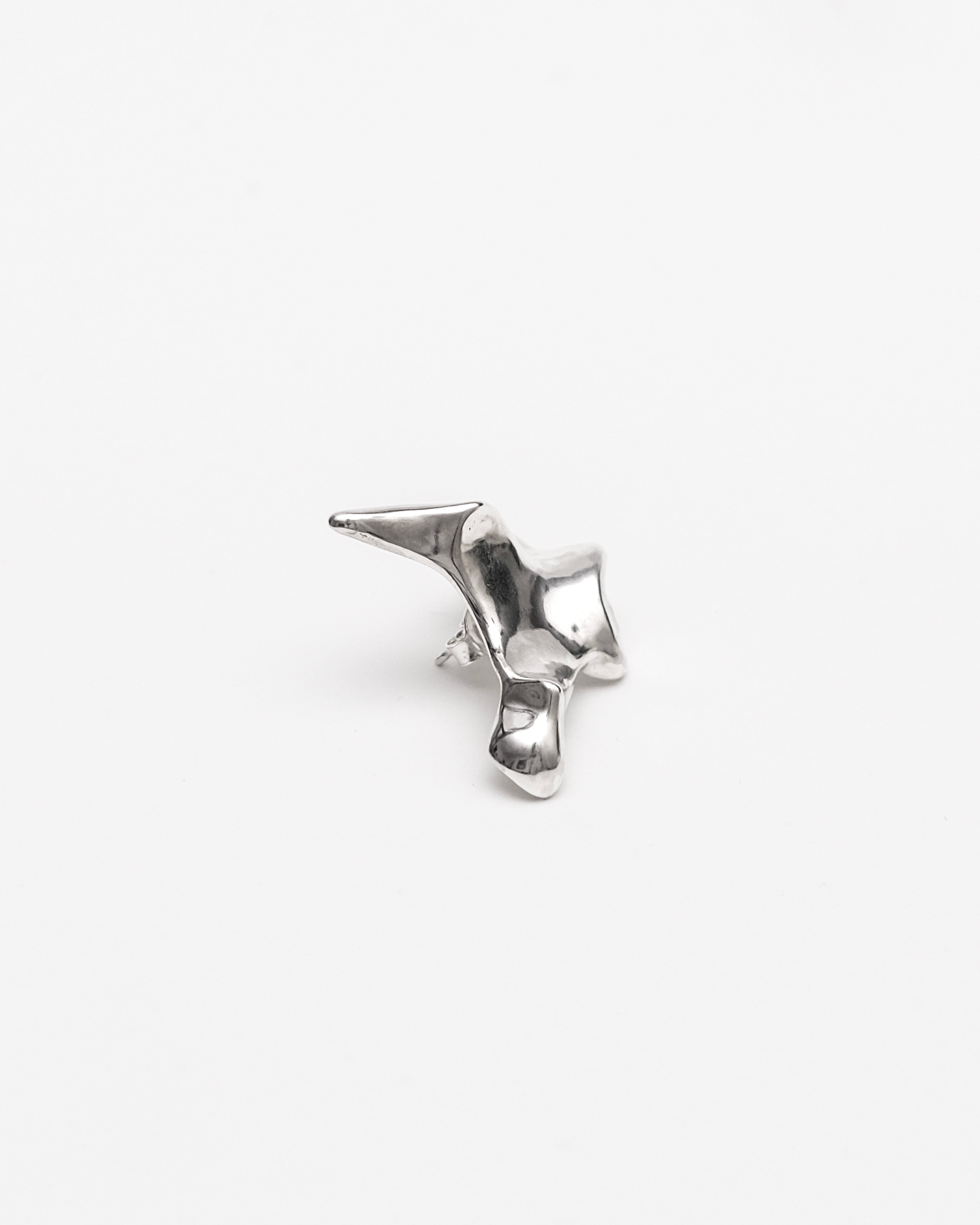 Oxyura Earrings