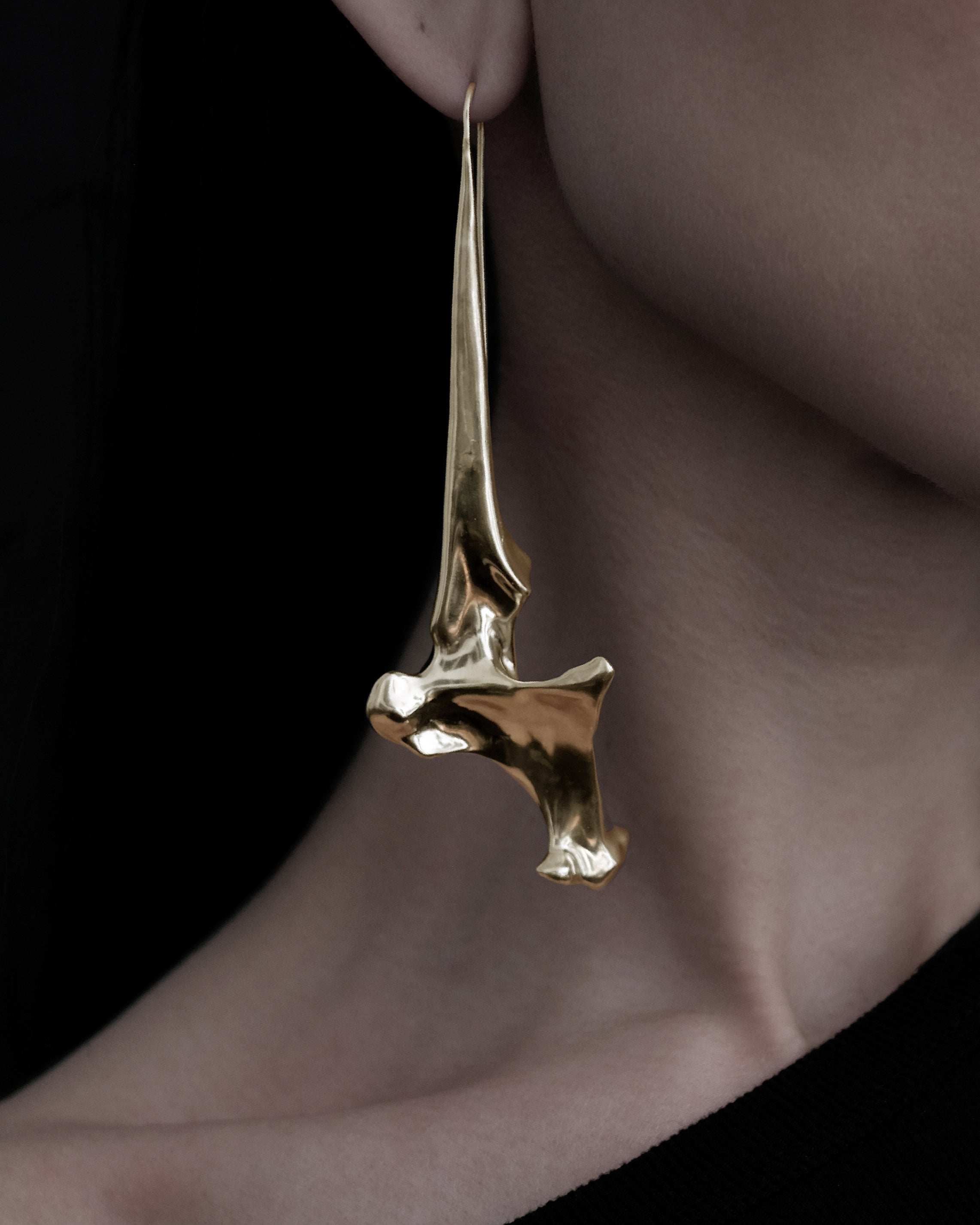 Pelecanus Earrings – Brass