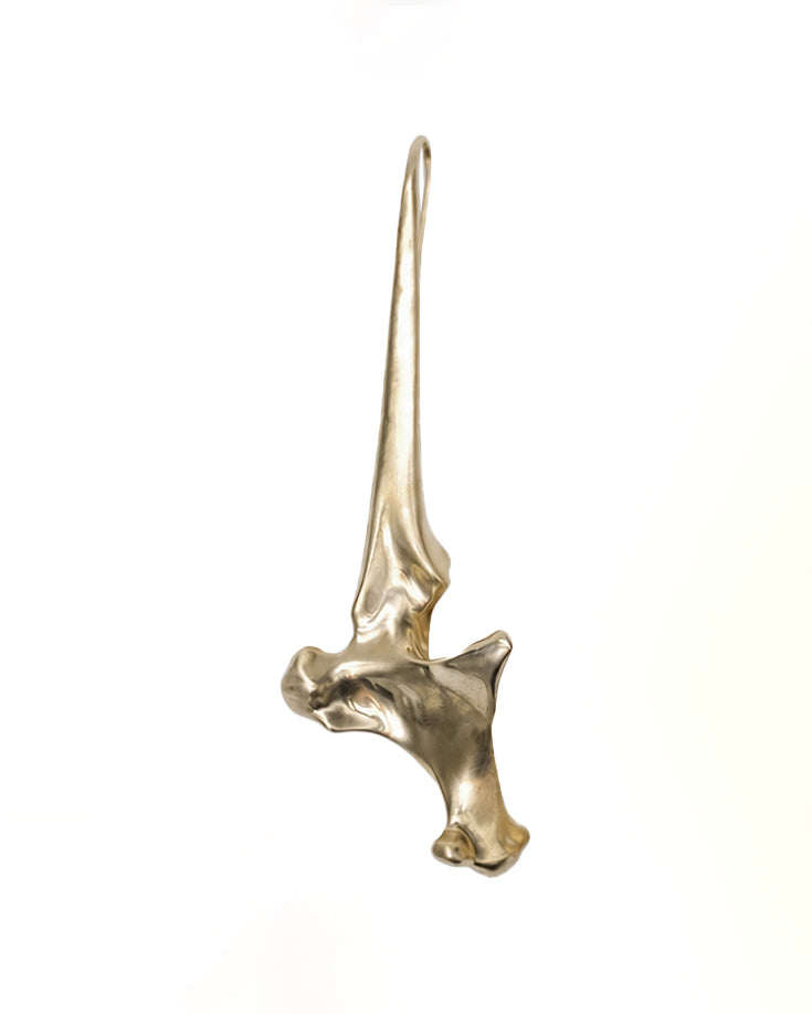 Pelecanus Earrings – Brass