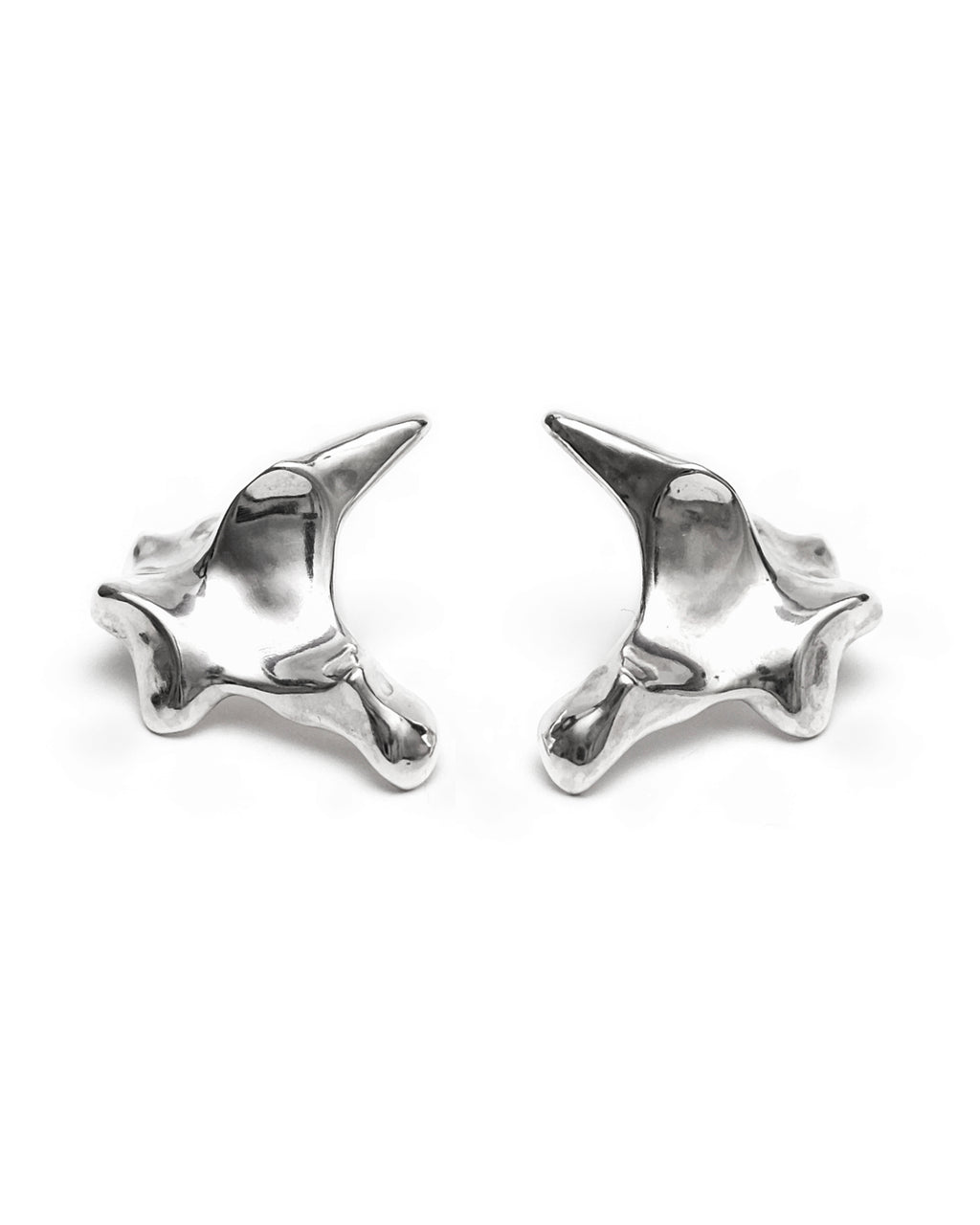 Oxyura Earrings