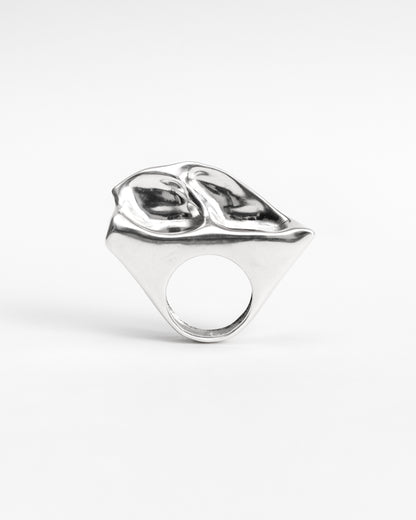Fulmarus Ring